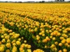 Bild 26
