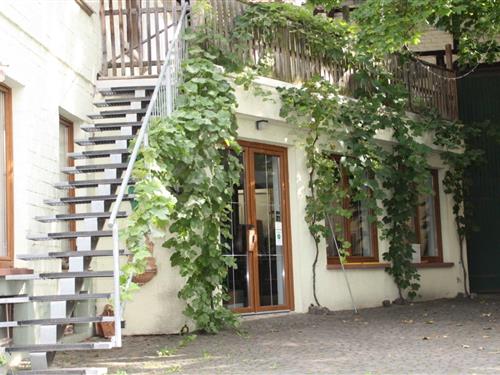 Holiday Home/Apartment - 5 persons -  - Wormser Str. - 67598 - Gundersheim