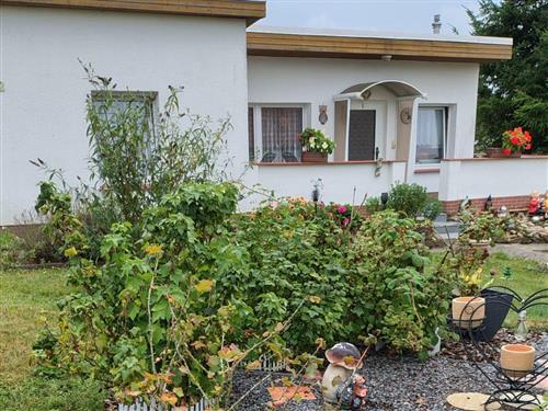 Feriehus - 3 personer -  - Teterower Chaussee - 18279 - Langhagen