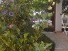 Bilde 30