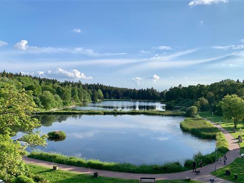 Ferieleilighet - 3 personer -  - Parkstraße 14 - - 38644 - Hahnenklee