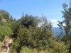Billede 5