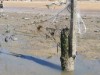 Image 19 - Outside