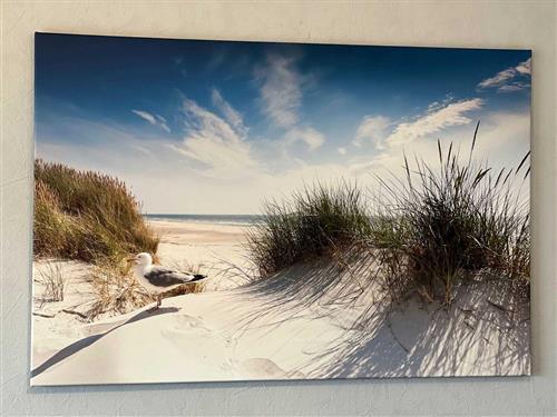 Ferielejlighed - 4 personer -  - Norderdeich - 25826 - St. Peter-Ording