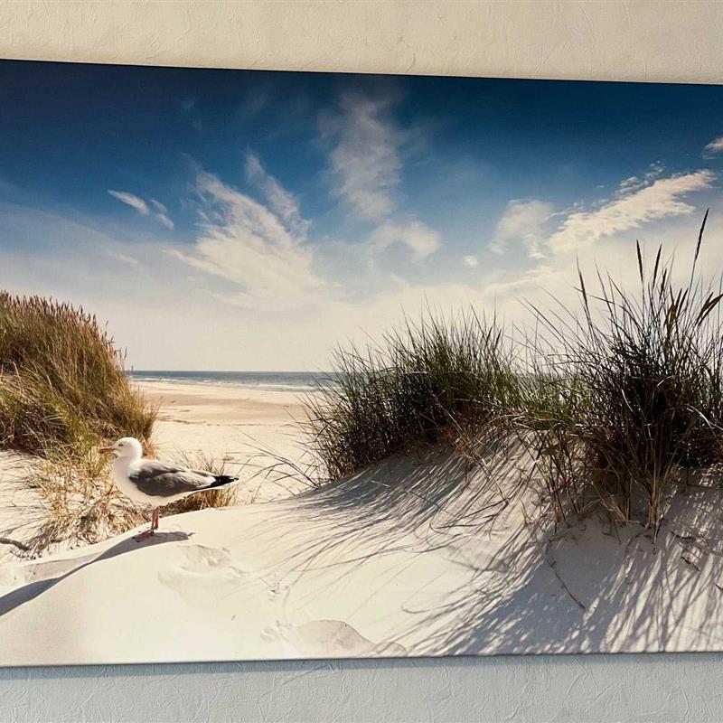 Ferielejlighed - 4 personer -  - Norderdeich - 25826 - St. Peter-Ording