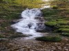 Image 28