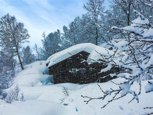 Holiday home - 8 persons -  - Orreknausen - Tjørhom, Sirdal - 4443 - Tjørhom