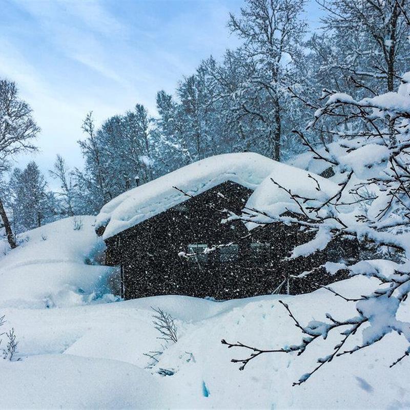 Sommerhus - 8 personer -  - Orreknausen - Tjørhom, Sirdal - 4443 - Tjørhom