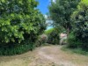 Image 29