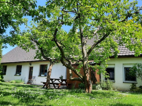 Feriehus - 8 personer -  - 394 03 - Horní Cerekev