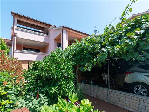 Ferieleilighet - 4 personer -  - Puntižela 60, Štinjan - 52100 - Pula