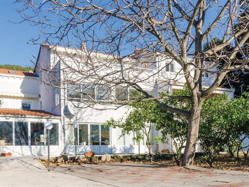 Holiday apartment - 2 persons -  - Polje - Peljesac-Zuljana - 20247 - Zuljana