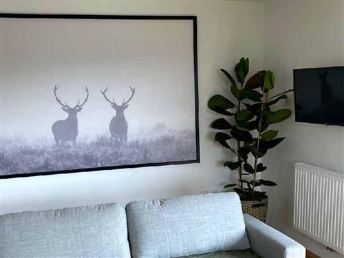 Ferielejlighed - 6 personer -  - Zimmerbergweg - 4852 - Weyregg Am Attersee