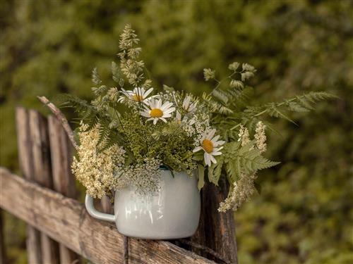 Ferielejlighed - 2 personer -  - Burgschrofenweg - 87538 - Obermaiselstein