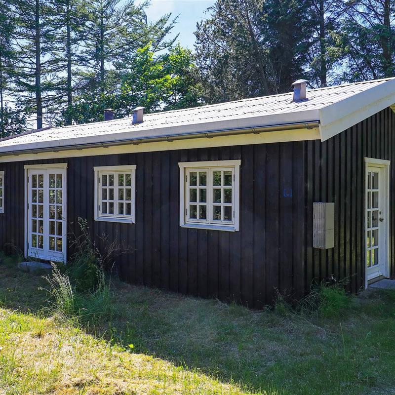 Ferienhaus - 6 Personen -  - Bregnehøjvej - 9492 - Blokhus