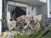 Bild 20