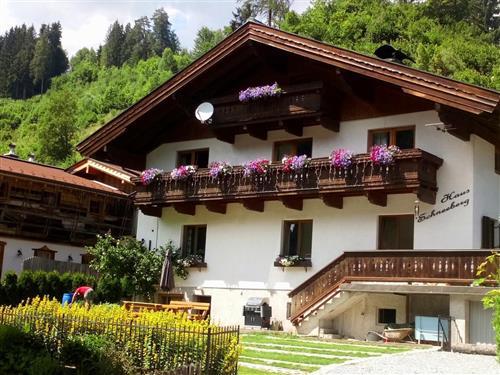 Feriehus / leilighet - 5 personer -  - Nr. - 5505 - Mühlbach Am Hochkönig