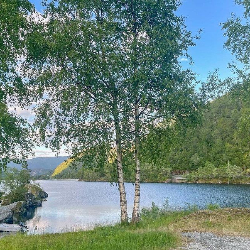 Sommerhus - 10 personer -  - Træo - Vestland - 5645 - Sævareid