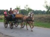 Billede 6