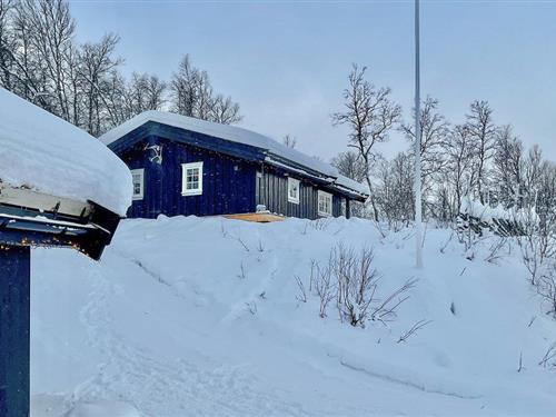 Sommerhus - 8 personer -  - Hemsedalsvegen - 3560 - Hemsedal