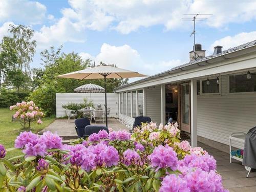 Holiday Home/Apartment - 8 persons -  - Trekløvervej - Øer - 8400 - Ebeltoft