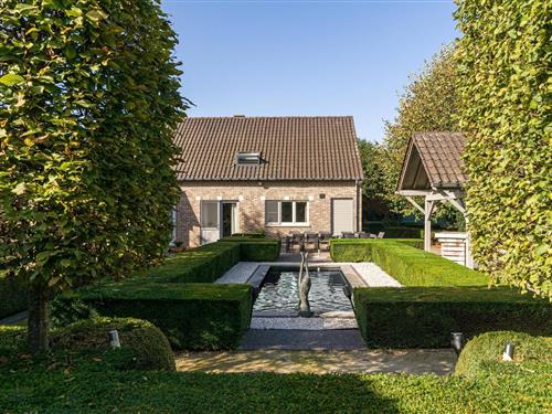 Vakantiehuis - 12 personen -  - 3840 - Borgloon