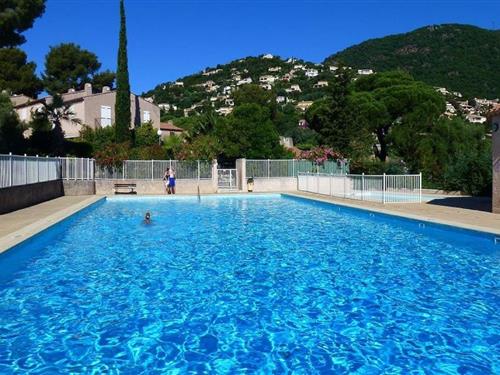 Sommerhus - 4 personer -  - 83240 - Cavalaire Sur Mer