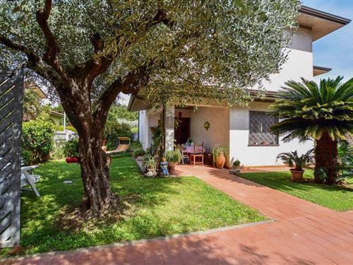 Feriehus - 6 personer -  - Via Cacini - 55041 - Capezzano Pianore