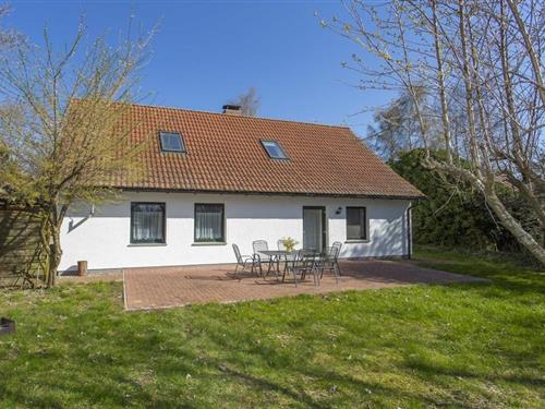 Sommerhus - 7 personer -  - 18573 - Dreschvitz