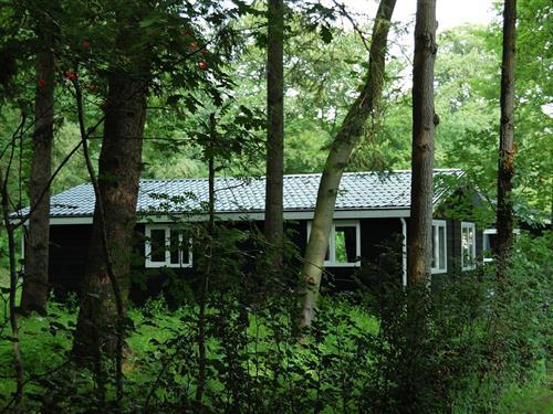 Fritidshus - 24 personer -  - 8346KB - De Bult - Steenwijk