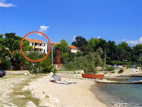 Holiday apartment - 4 persons -  - Košljun 50A, Košljun - 23250 - Pag