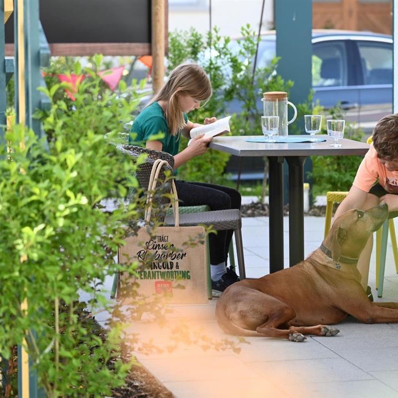 Ferielejlighed - 4 personer -  - Bahnhofstraße - 88048 - Friedrichshafen