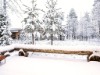 Bild 19 - Inde