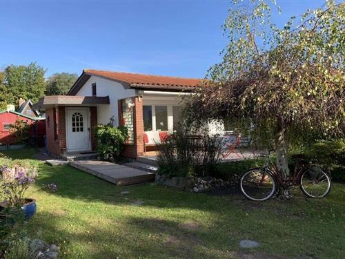 Ferienhaus - 3 Personen -  - 18347 - Ahrenshoop