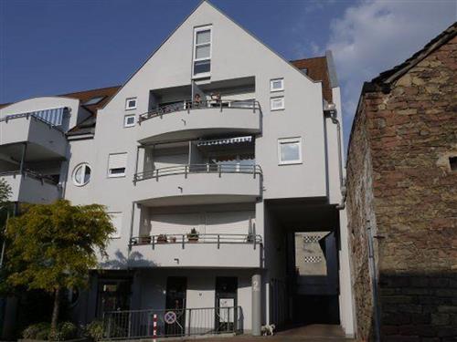 Ferieleilighet - 3 personer -  - Ägyptenpfad - 67433 - Neustadt An Der Weinstraß