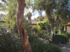 Image 28 - Outside