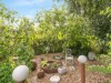 Billede 16 - Terrasse