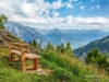 Bilde 27 - Ude