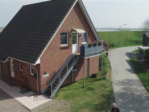 Ferielejlighed - 4 personer -  - Hemmerdeich - 25870 - Oldenswort