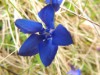 Bild 39 - Aussen