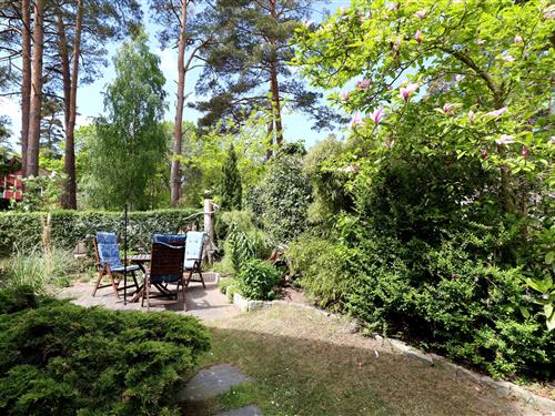 Ferielejlighed - 2 personer -  - Ginster Weg - 18347 - Dierhagen Neuhaus