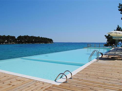 Holiday apartment - 4 persons -  - Crvena luka - 23210 - Biograd