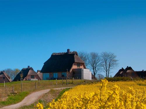 Semesterhus/Semesterlägenhet - 5 personer -  - Sandkoppel - 24395 - Nieby