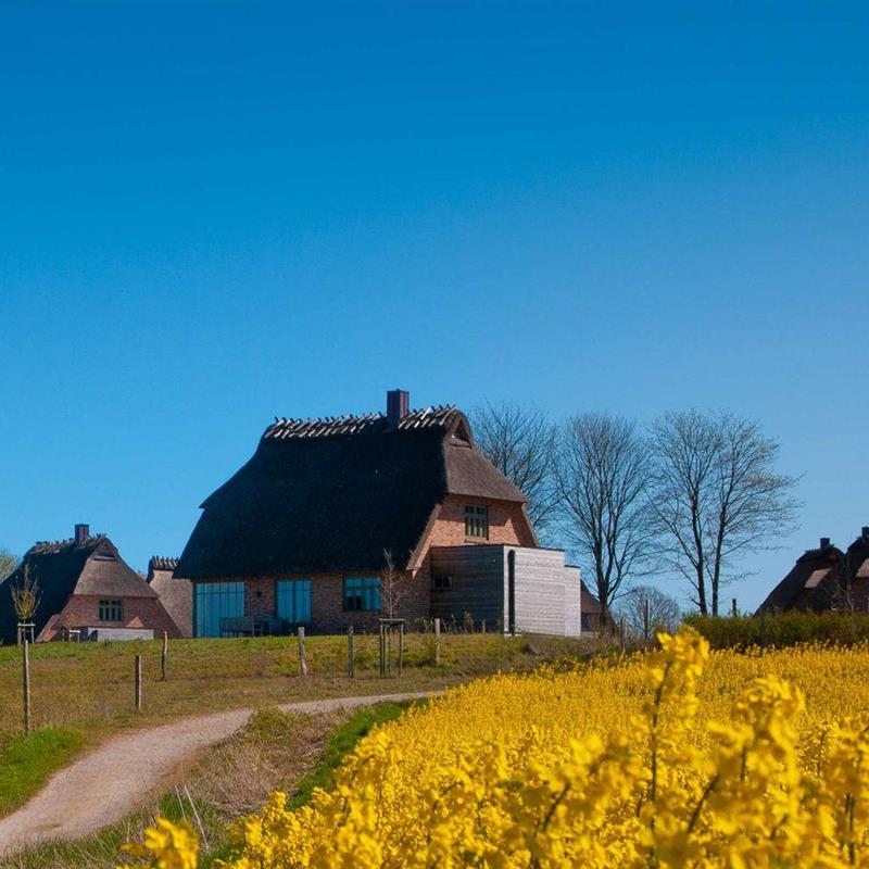 Sommerhus - 5 personer -  - Sandkoppel - 24395 - Nieby