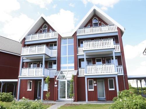 Ferieleilighet - 6 personer -  - Am Hafendorf - 17248 - Rechlin-Nord
