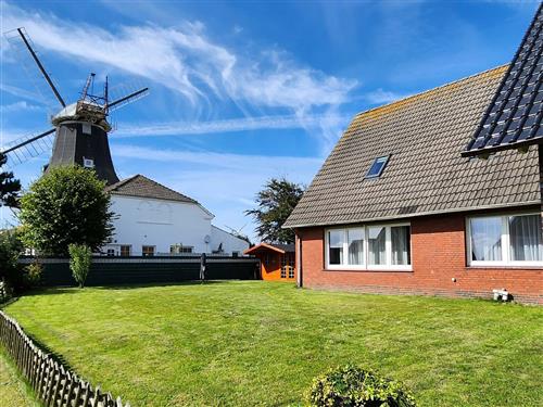 Ferienhaus - 4 Personen -  - Mühlenstraße - 26409 - Carolinensiel-Harlesiel