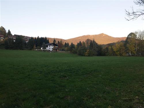 Ferielejlighed - 4 personer -  - Ginglmühler Weg - 93462 - Lam