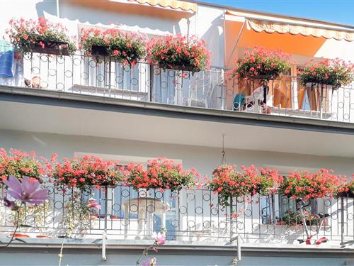 Ferielejlighed - 4 personer -  - Kaprala Koniecznego - 72-420 - Dziwnów