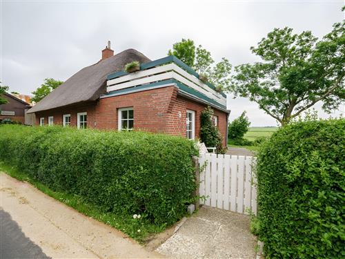 Sommerhus - 4 personer -  - Südermitteldeich - 25849 - Pellworm