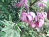 Bild 16